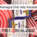 Kamagra Oral Jelly Canada 12